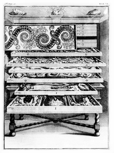 Tafel 6 uit 